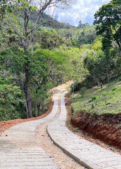 obras vdm2-5